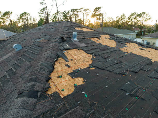 Best Roofing for New Construction  in Maysville, OK